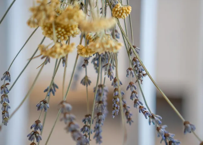 Appartamento A White Cliffside *